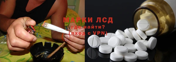 прущие грибы Козловка