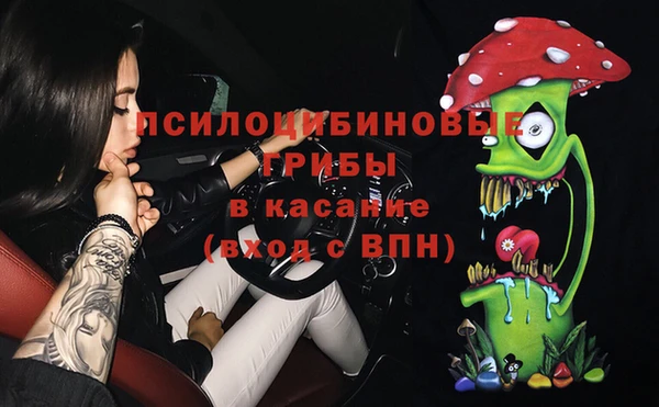 прущие грибы Козловка