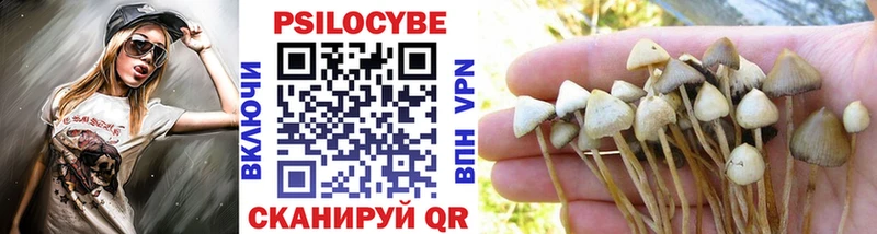 Псилоцибиновые грибы Psilocybine cubensis  где купить   Коммунар 
