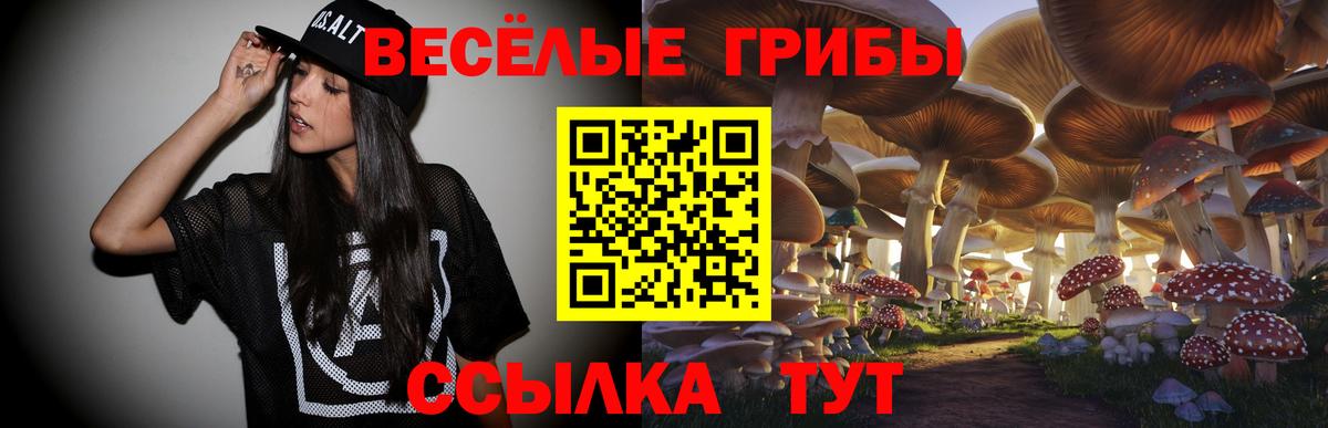 Псилоцибиновые грибы мицелий Коммунар